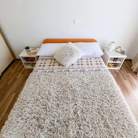 Anita ביבינייה