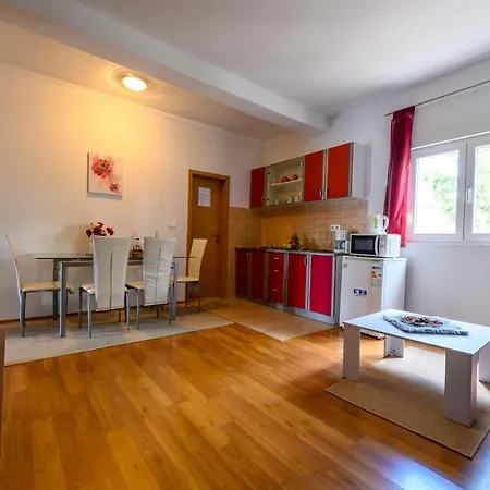 Apartment Anita Bibinje